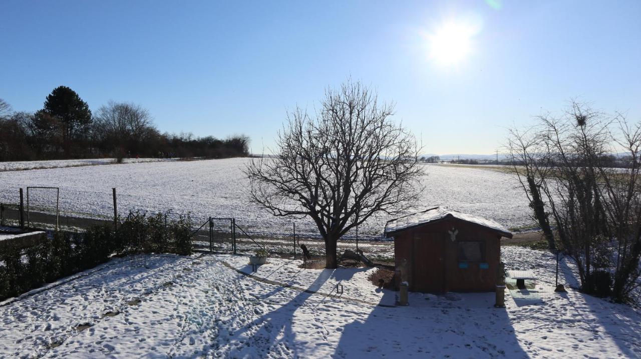 Charmante Ferienwohnung 100 Qm Groß-Umstadt Exteriér fotografie