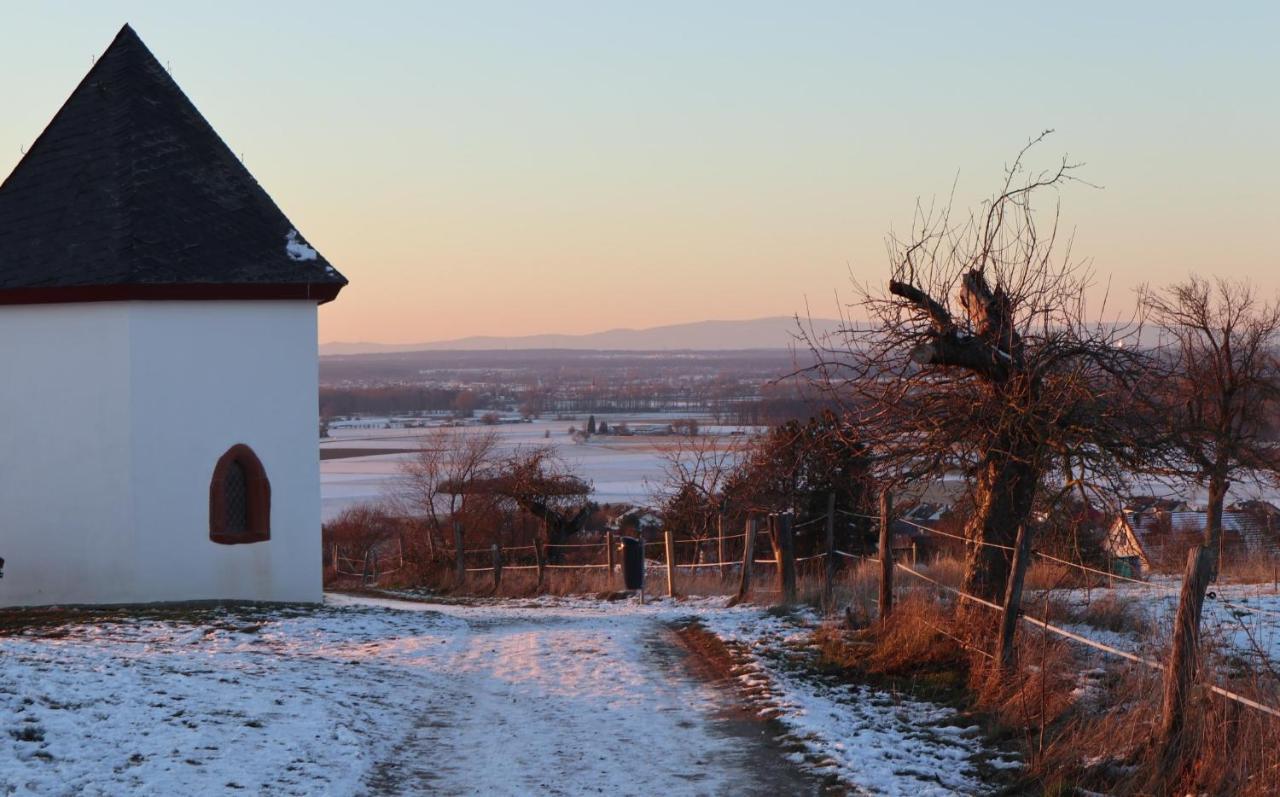 Charmante Ferienwohnung 100 Qm Groß-Umstadt Exteriér fotografie